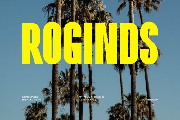 Roginds Font: A Bold Typeface That Elevates Your Brand