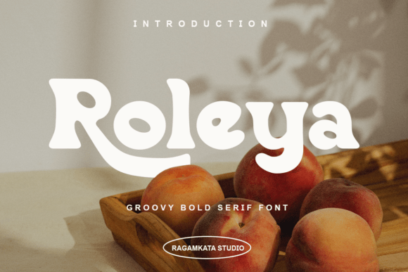Roleya Regular: A Subtle Elegance for Thoughtful Design